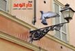شركة تركيب طارد الحمام بنجران